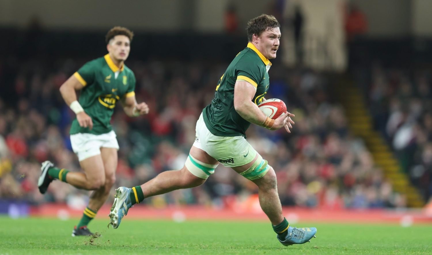 Injury update is sweet and sour for Bok No 8s