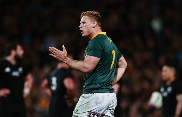 Du Preez has golden Bok opportunity