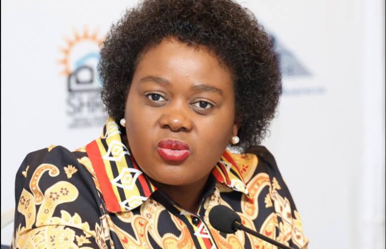 Kubayi orders NPA to submit all unsigned extradition requests – SABC News