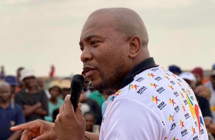BOSA says government should implement coding programs for youth – SABC News