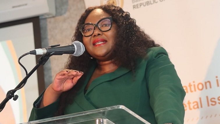 Minister Gwarube urges youth to lead transformation in SA – SABC News