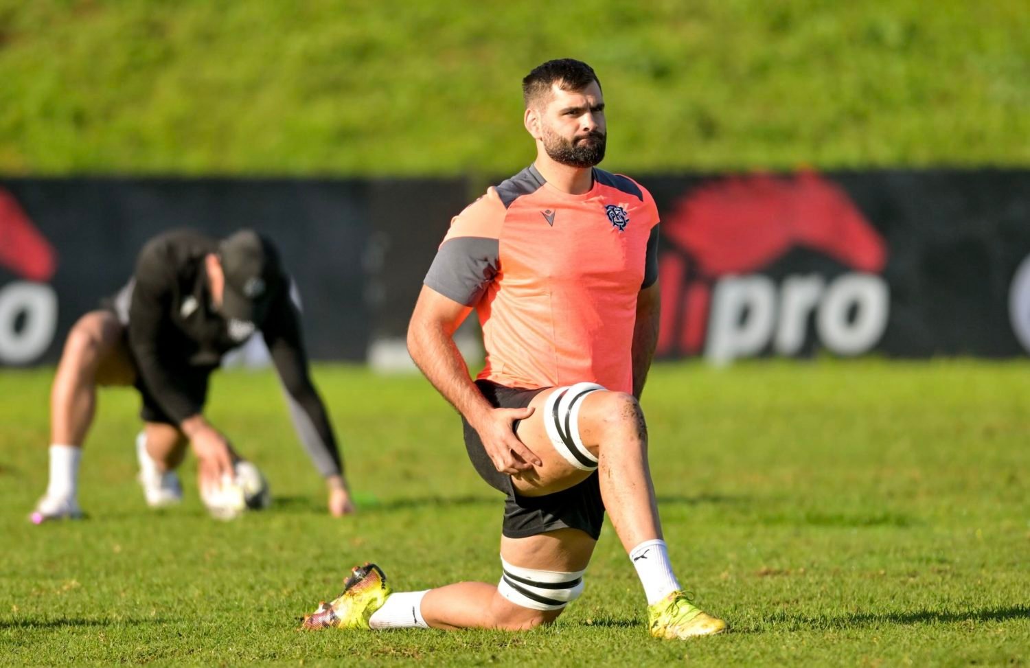 Whitelock backs Stormer for Baa Baas clash