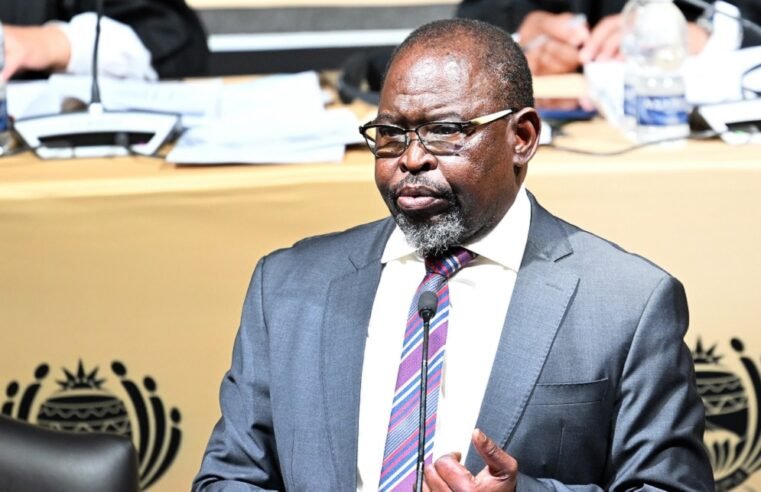 Godongwana relieved as Parliament adopts 2025 Budget – SABC News