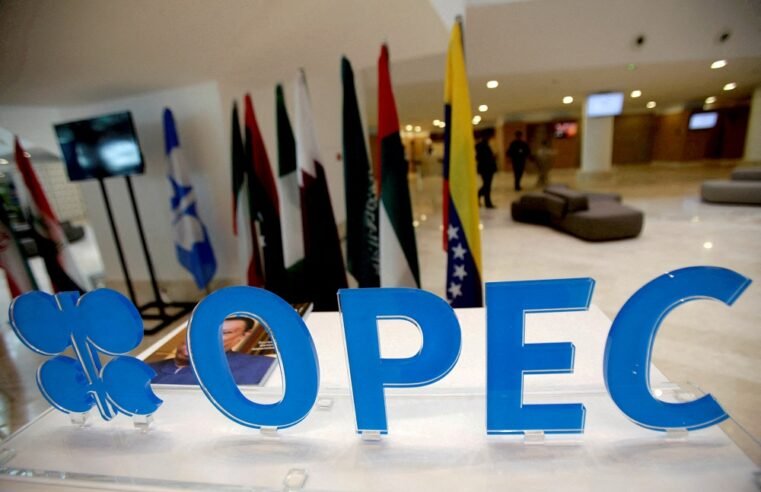 OPEC+ projects rising oil demand, especially in summer – SABC News