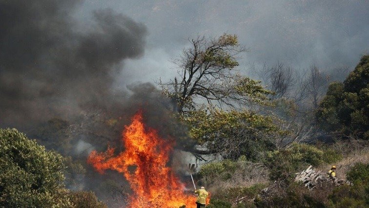 Fire in Table Mountain National Park contained – SABC News