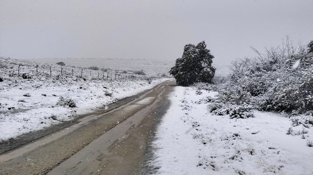 Wood, paraffin sales in Ficksburg soar as cold front grips the area – SABC News