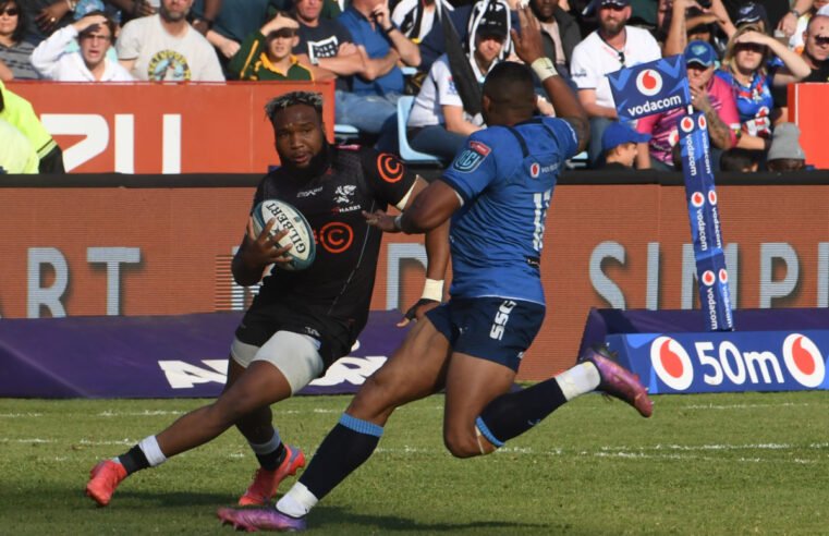 Watch: Am-azing Bulls-Sharks action