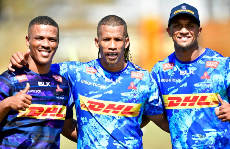 Lions to snap up Stormers speedster