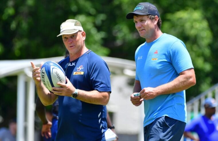 Dobbo to farm out coaching staff