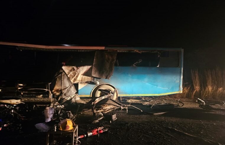 EFF to assist with identifying bus crash victims – SABC News