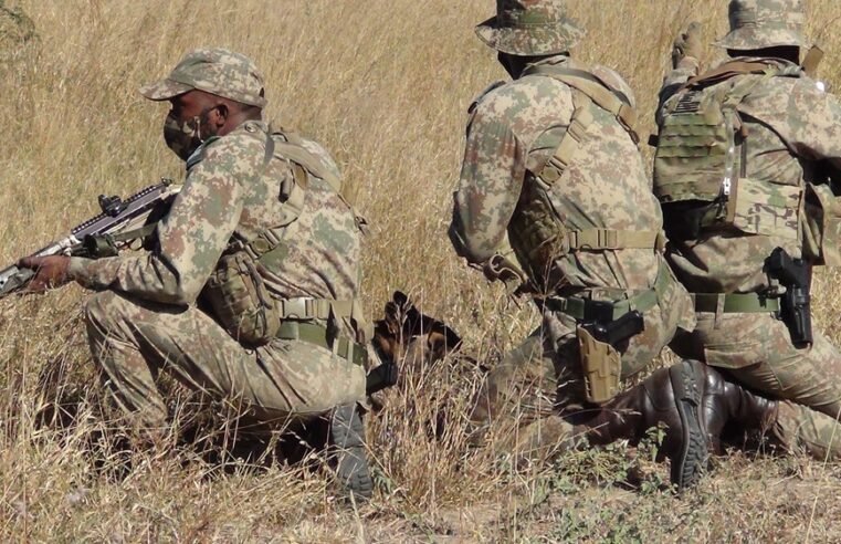 Suspected poacher killed in shoot-out with rangers in Mpumalanga – SABC News