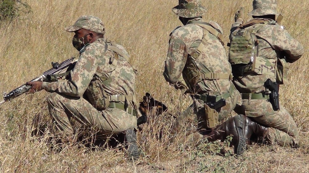 Suspected poacher killed in shoot-out with rangers in Mpumalanga – SABC News