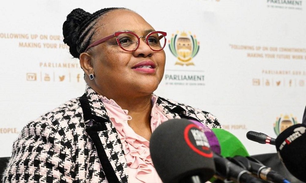 Didiza directs Parliament to consider Mkhwanazi allegations – SABC News