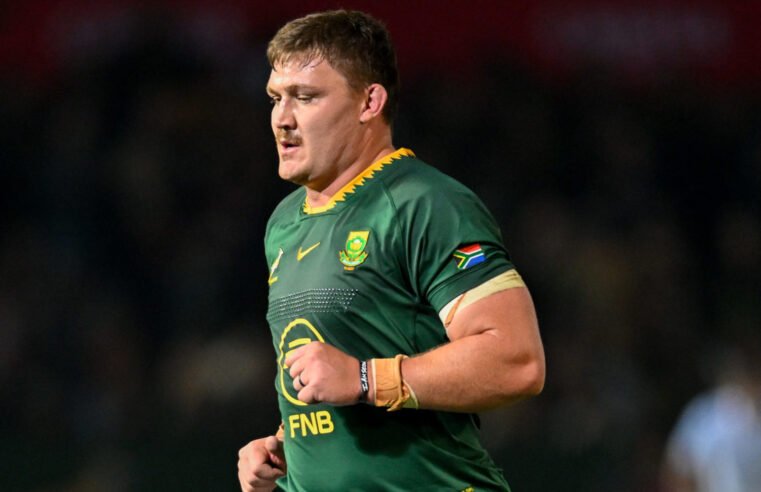 Bok enforcer slapped with lengthy ban