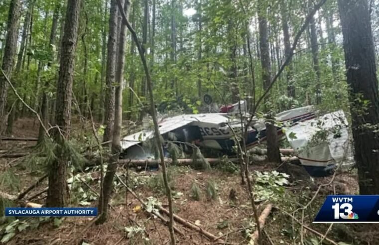 Small plane crashes near Sylacauga airport; pilot airlifted to hospital