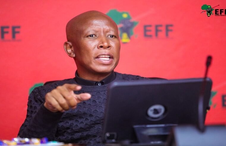 Fire arm discharge case against Malema and bodyguard postponed – SABC News