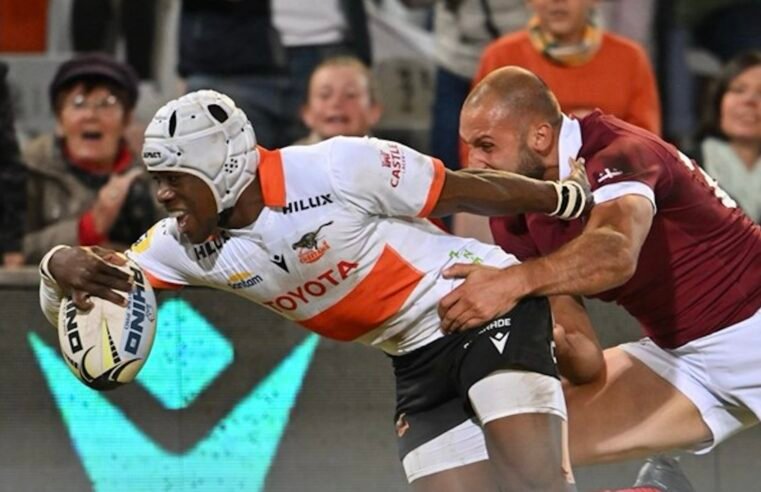 Frans sticks with winning Cheetahs formula