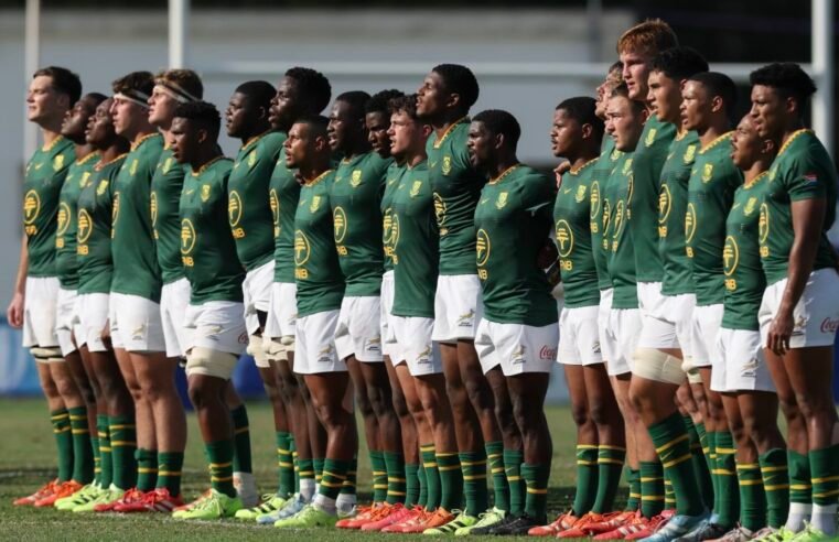 Lions poach Sharks’ Junior Boks star