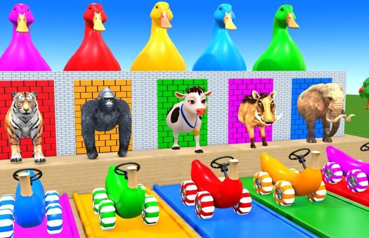 Long Slide Game With Cow Elephant Gorilla Hippopotamus Tiger 3d Animal Game Funny 3d Animals
