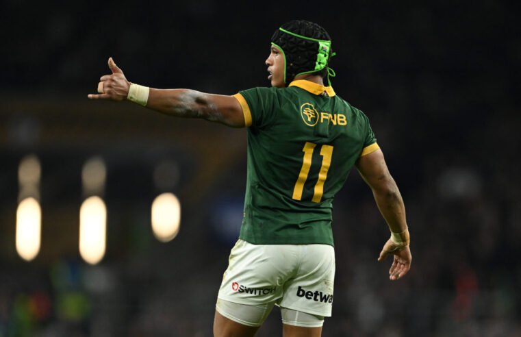 Boks blitz Georgia, All Blacks feast on France