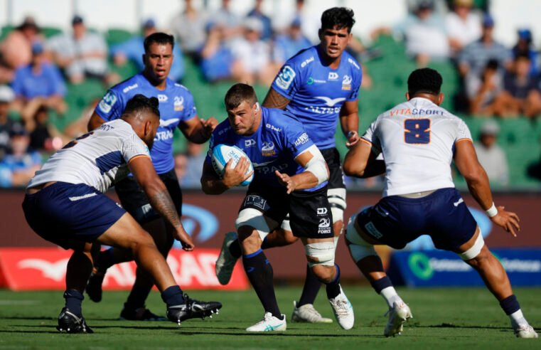 Wallabies show their hand