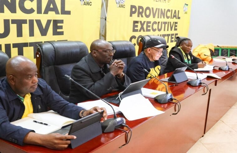 Limpopo ANC threatens to remove incompetent mayors, councillors – SABC News
