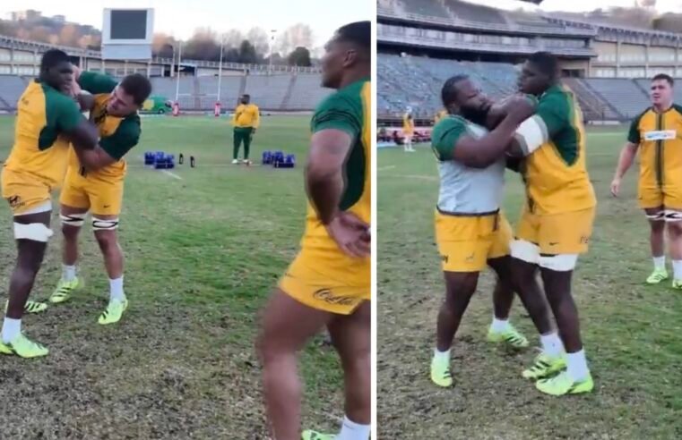 Boks put Junior Bok to the test