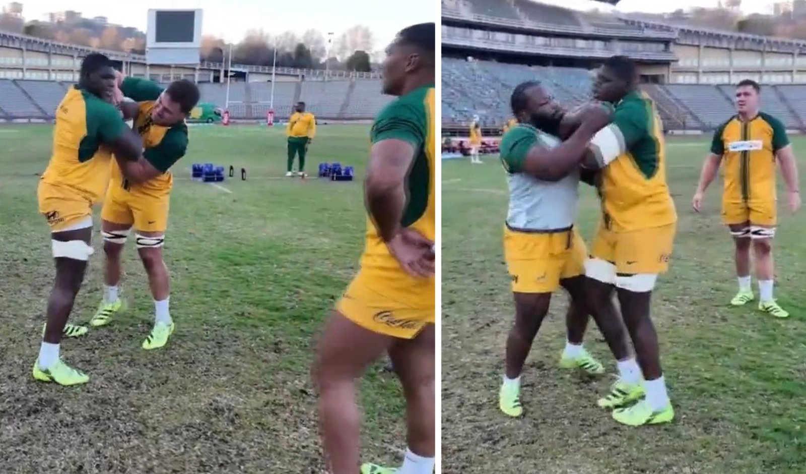 Boks put Junior Bok to the test