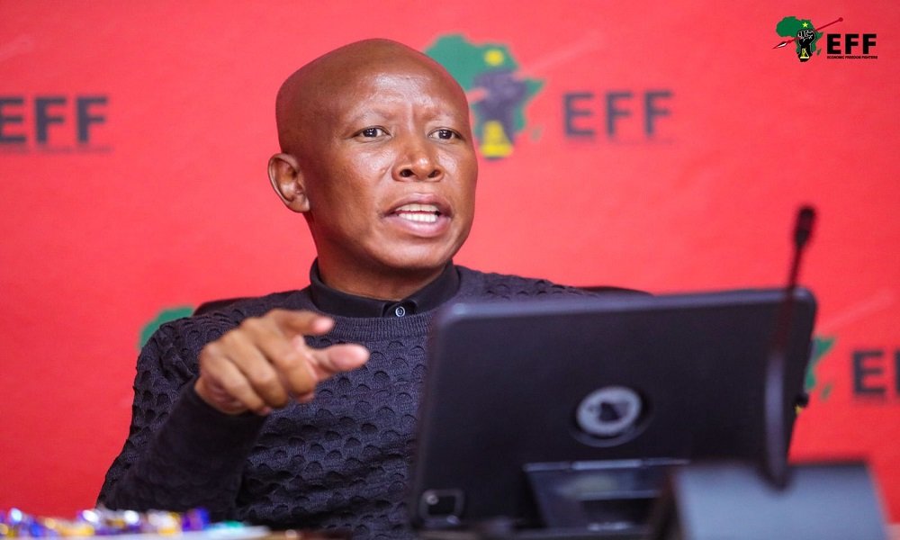 Court to hear closing arguments in Malema firearm discharge case – SABC News