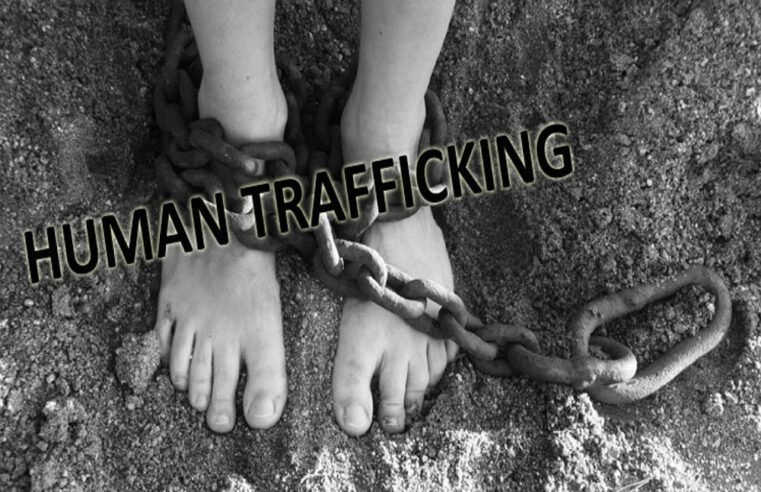 Department to launch Local Task Team to support anti-trafficking – SABC News