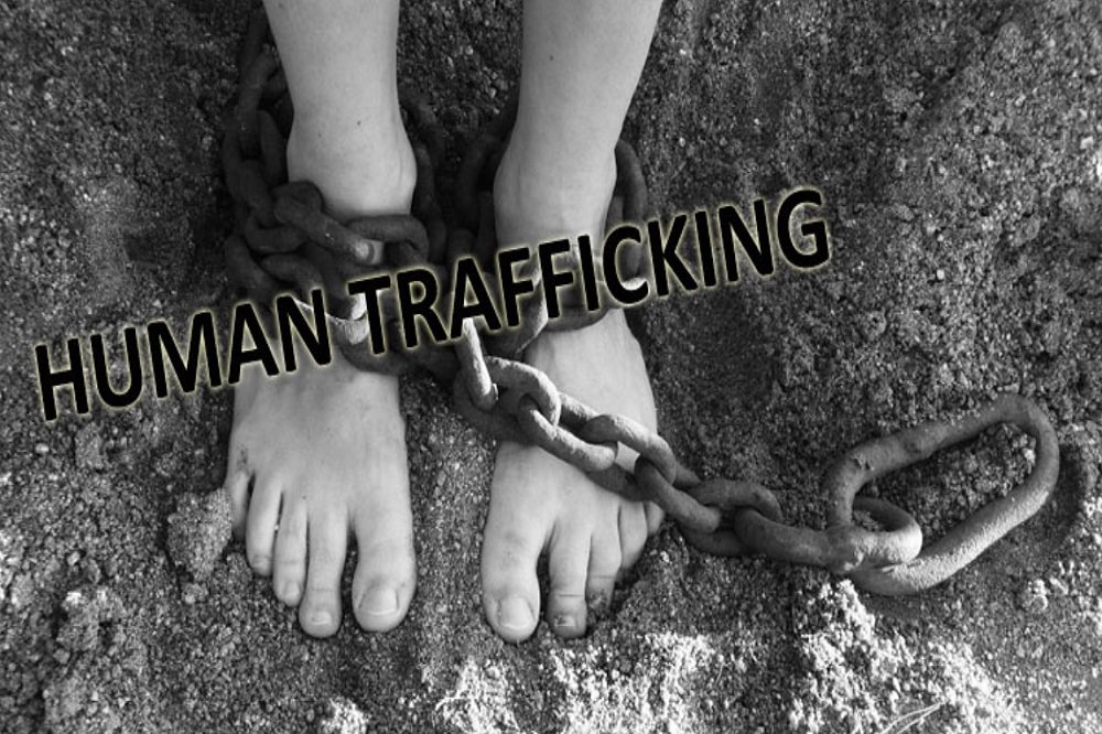 Department to launch Local Task Team to support anti-trafficking – SABC News