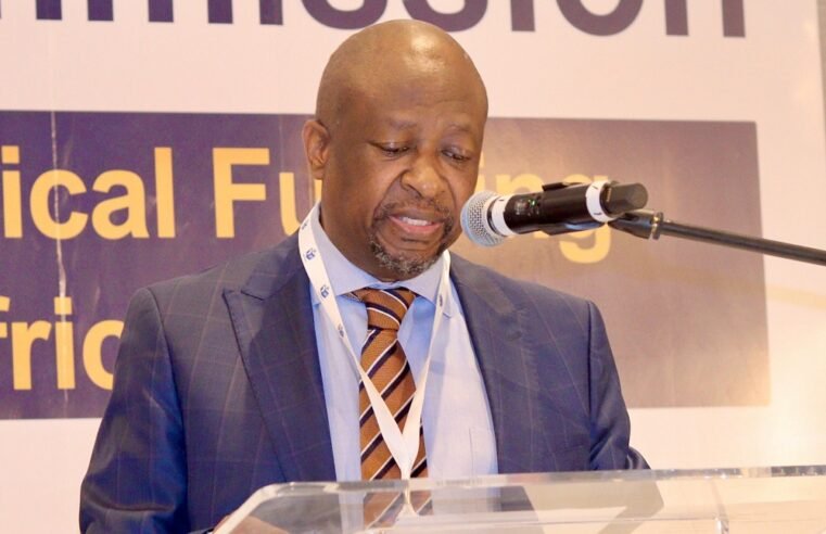 IEC to present 2024 election report to Parly, admits tech glitches – SABC News