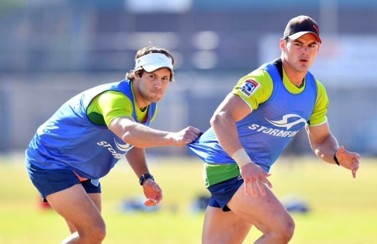Another Bok heading back to Bulls