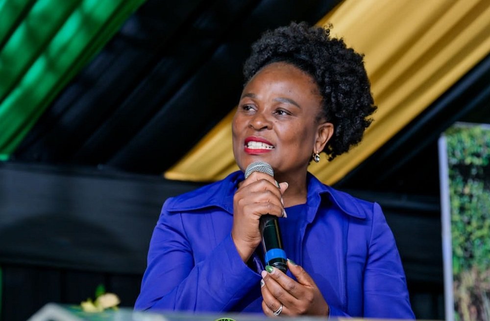 Phadi’s removal from MKP bodes well for the party: Mkhwebane – SABC News