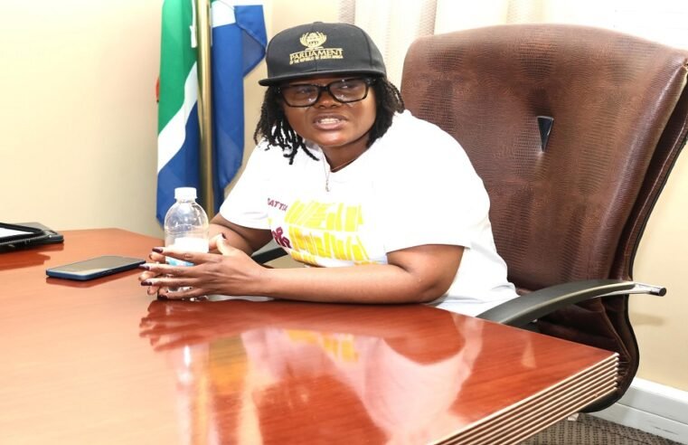 DA accuses Nkabane of evading responsibility – SABC News