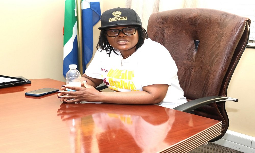 DA accuses Nkabane of evading responsibility – SABC News