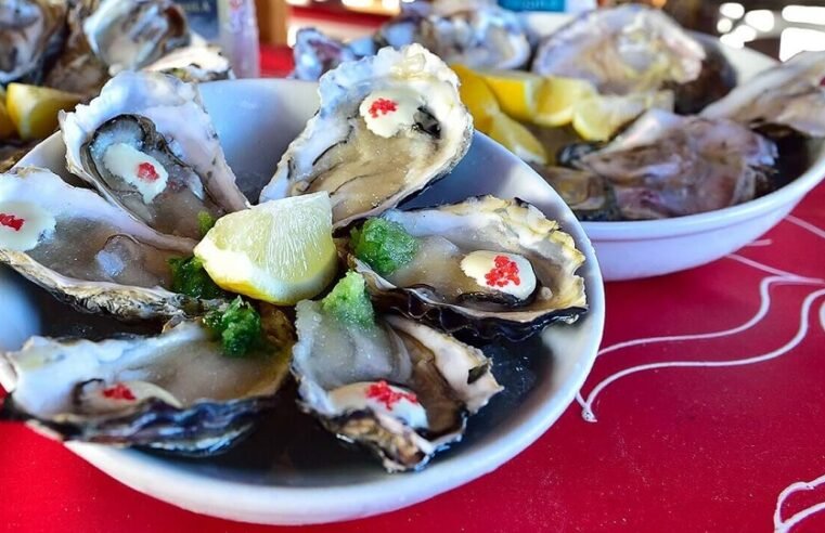 Oyster Festival big boost to Knysna’s economy – SABC News