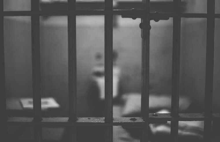 Portfolio Committee says medical parole system to be reviewed – SABC News