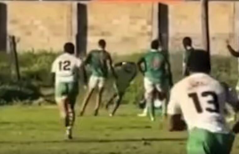 Red-carded club player punches ref