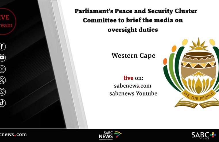 LIVE: Peace and Security Cluster Committee briefs the media