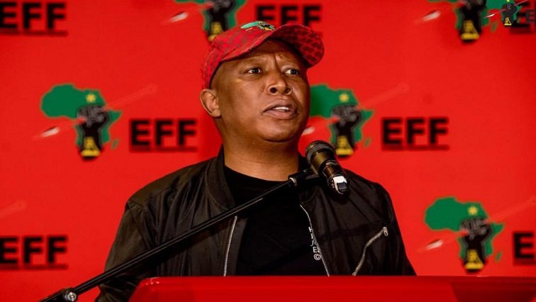 Malema offers Mkhwanazi place in EFF – SABC News