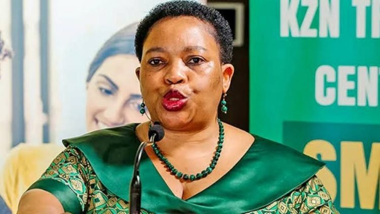 Case of arson probed following a fire at former KZN Premier’s house – SABC News