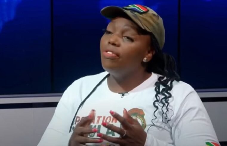 Civil group blames undocumented migrants for SA healthcare strain – SABC News