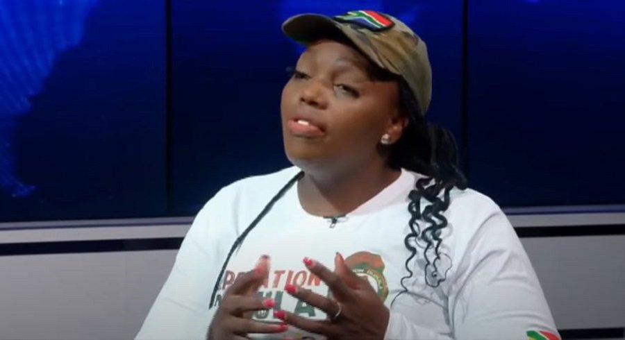 Civil group blames undocumented migrants for SA healthcare strain – SABC News