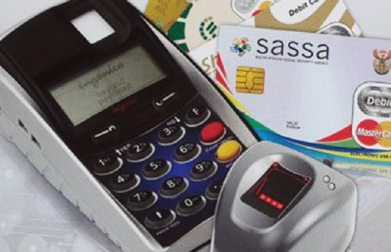 Black Sash accuses SASSA of violating rights in grant review process – SABC News
