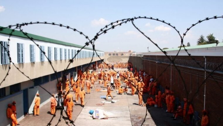 Correctional Services committee calls for inmate exchange programme – SABC News