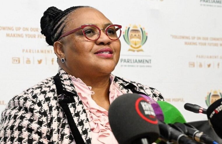 Didiza considering course of action amid Mkhwanazi allegations – SABC News