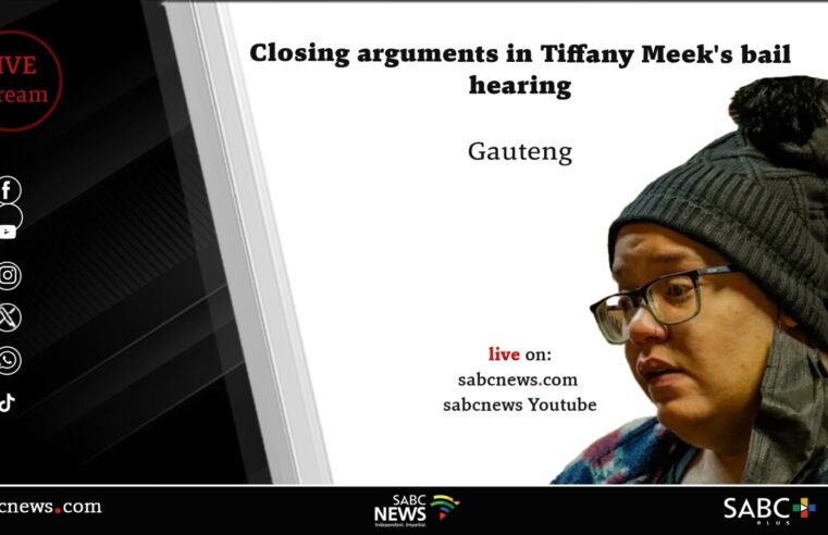 LIVE | Closing arguments in Tiffany Meek’s bail hearing