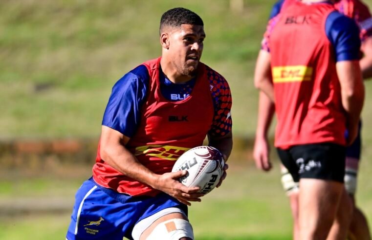 Blitzbok leads WP on debut
