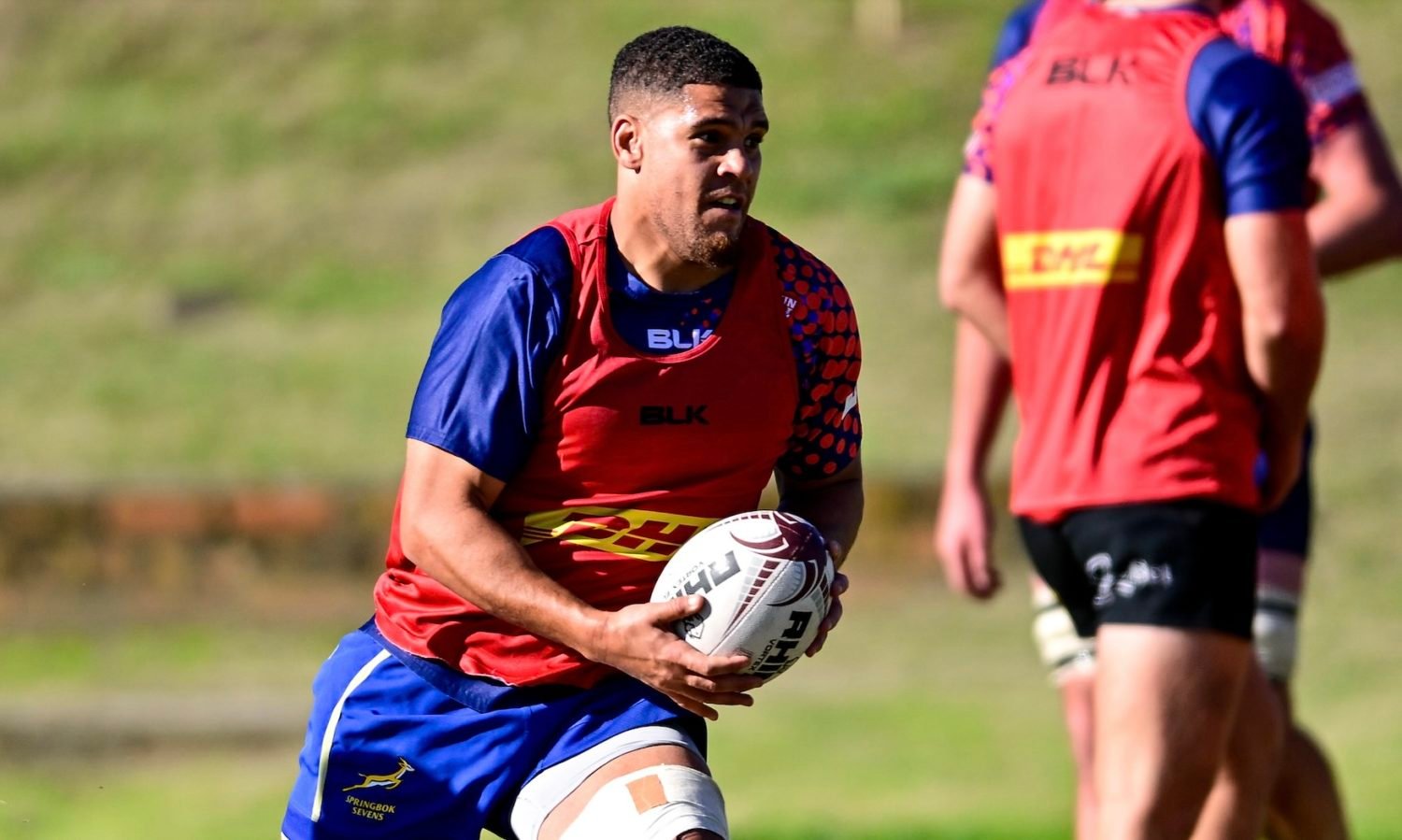 Blitzbok leads WP on debut